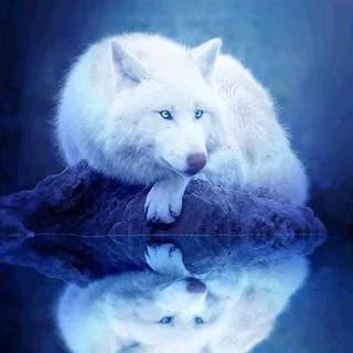 d0fe523dc9ccfe4c2e3e5e3311ceab6c.avif