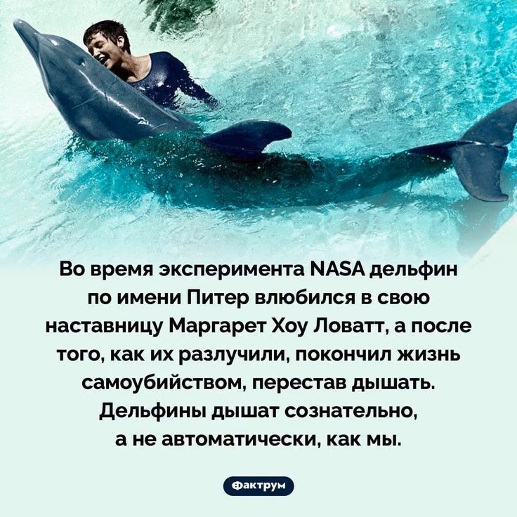 d1094662d8eb5216750c5677e8a8ab3d.avif