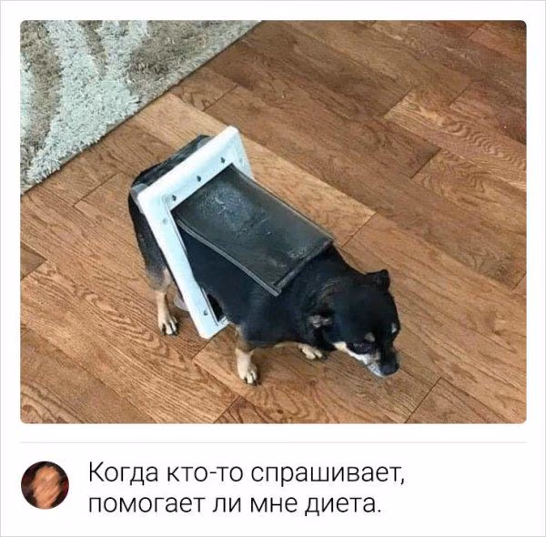 d10add29208982d02b6988bc22eb032c.jpg