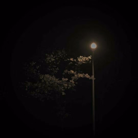 d124f13c3010d09c5be6783a9117b0a7.jpg