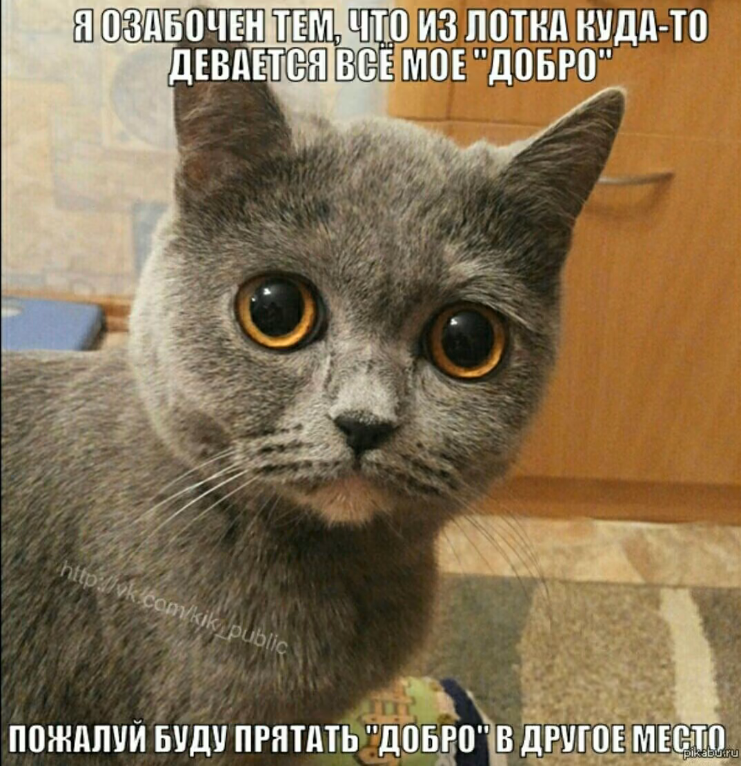 d13f430ad8a127d827cf339507c8a86f.jpg