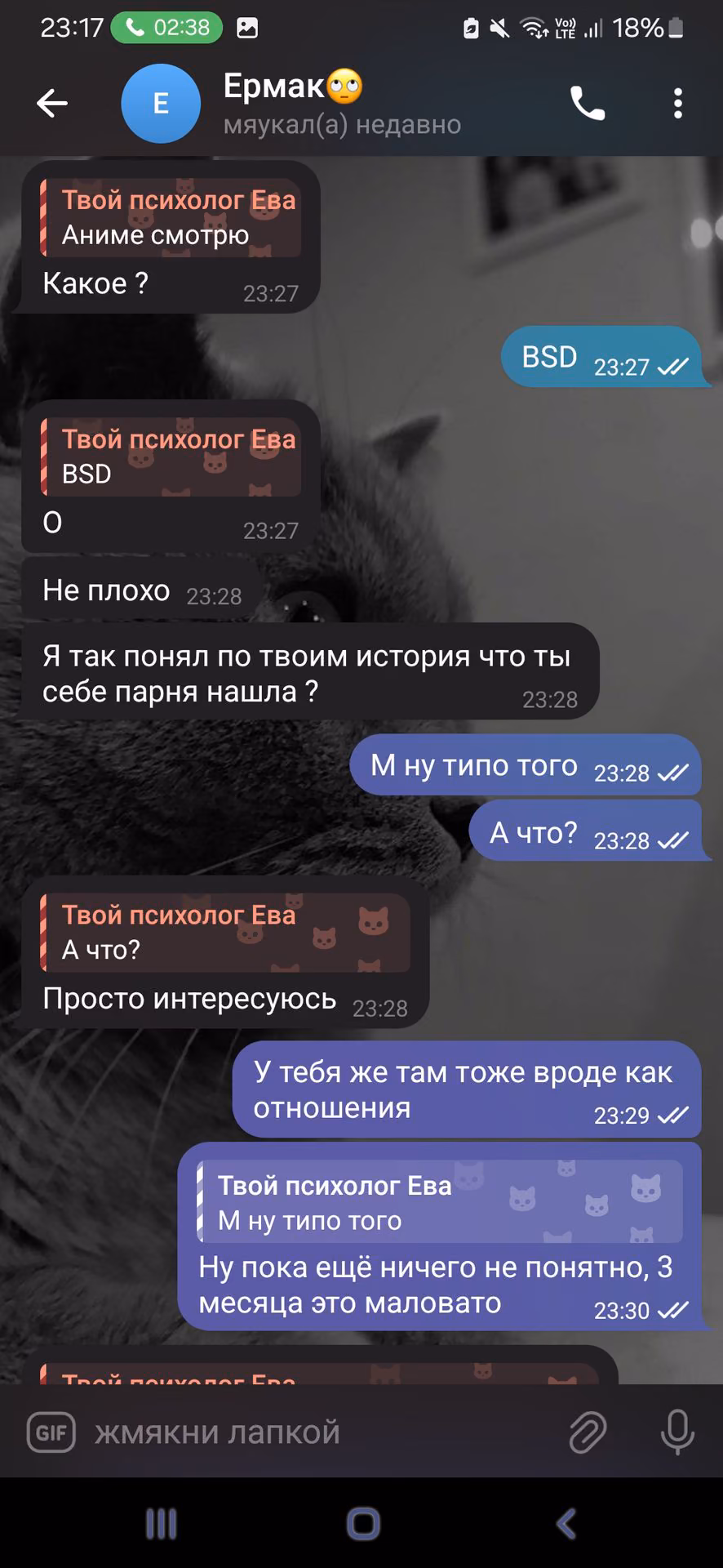 d17cb9273a55bc0997bc25b864d273cf.jpg