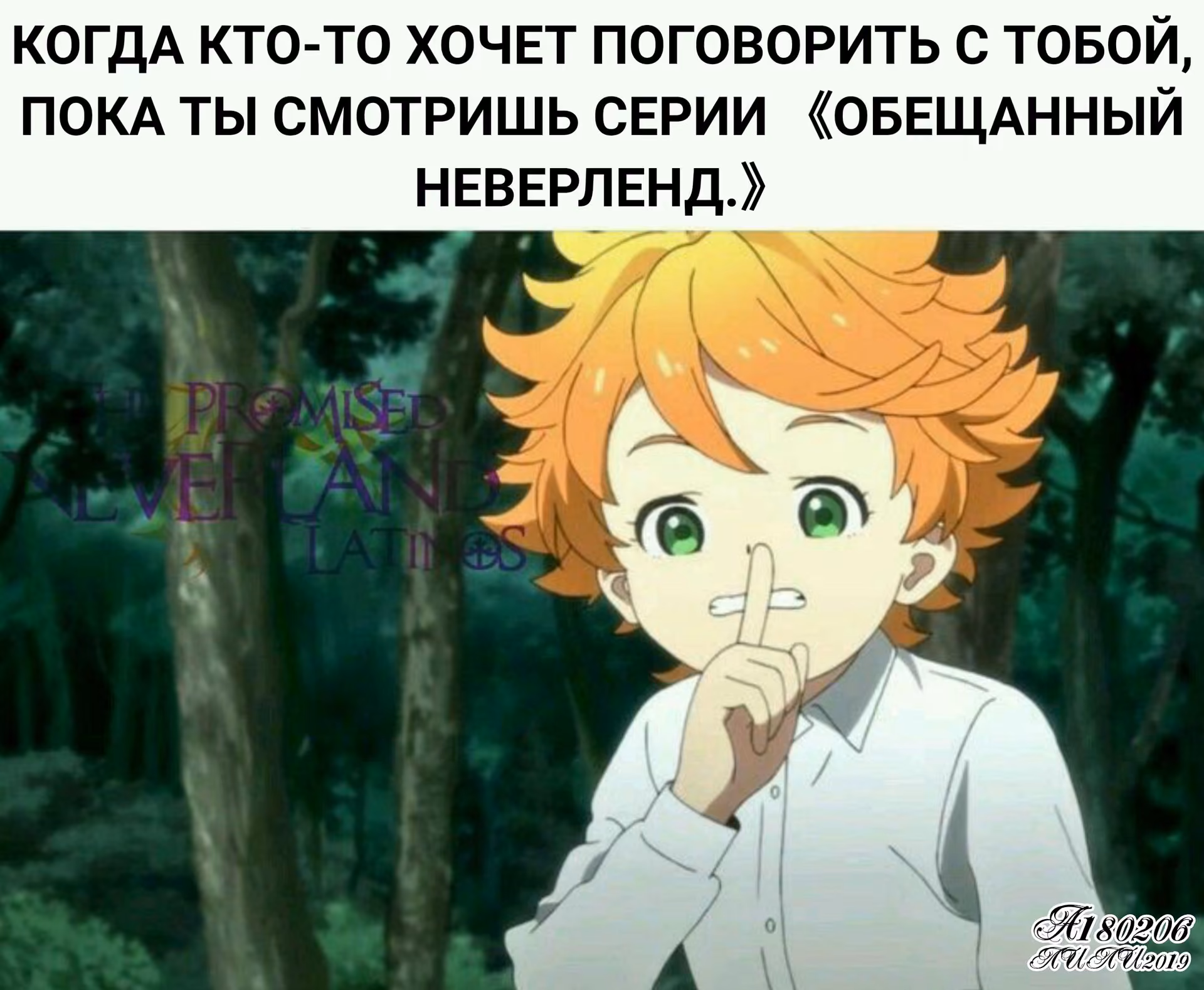 d1921b90174ce76e40ba371266db6b01.jpg