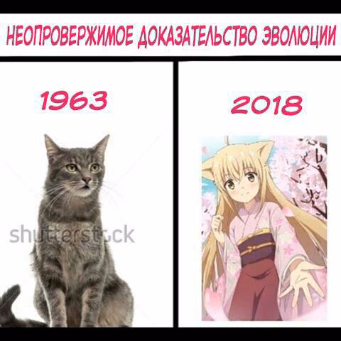 d19a4d5744e5c84ddf1c2883d4f0c1e0.jpg