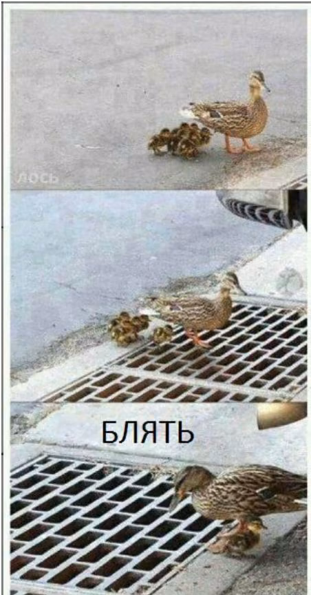 d1bd588dea30682772b9e93c740da9ee.avif