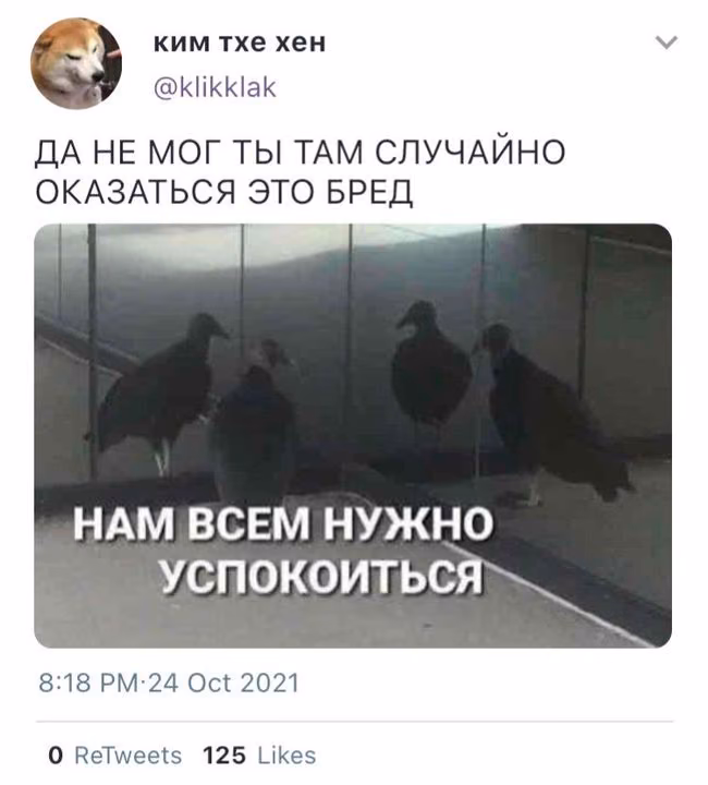d1c3347305b0bcc37c74056cd6263e07.avif
