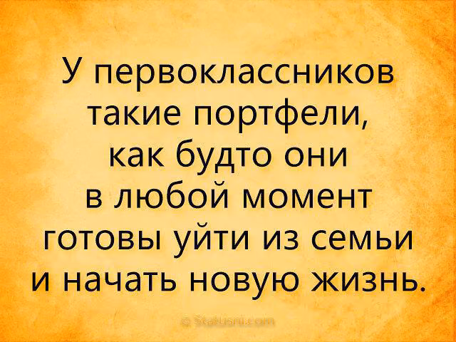 d1cd85c552684811a5e72b6577cc74a1.avif