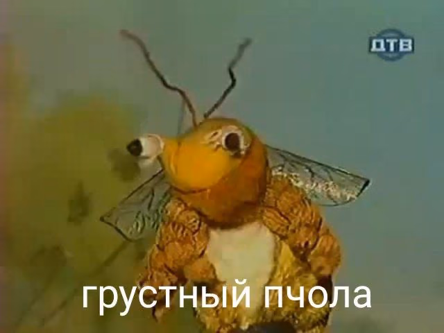 d1d706b66954c01e78e289269b96f4bd.jpg