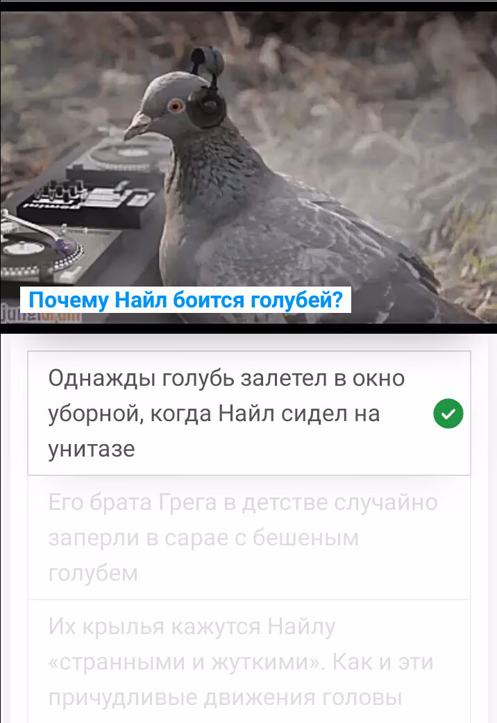 d1e97f4b3da1353f3fa311251b92a0a7.jpg