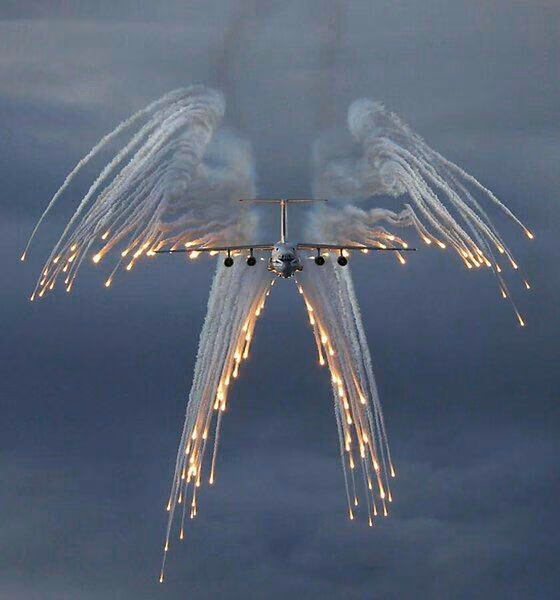 d1f00a7a1594b4f91848c8d355d40d59.avif