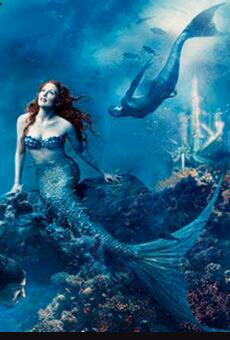 d21b5b0f25eea35c2f34e4fc89615f90.avif