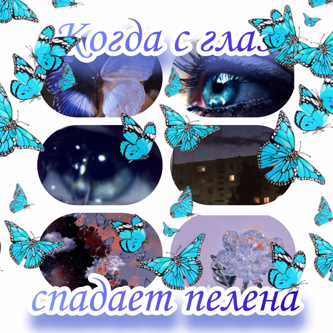 d21c9ad0454d463c2fc8feac4efb65e1.avif