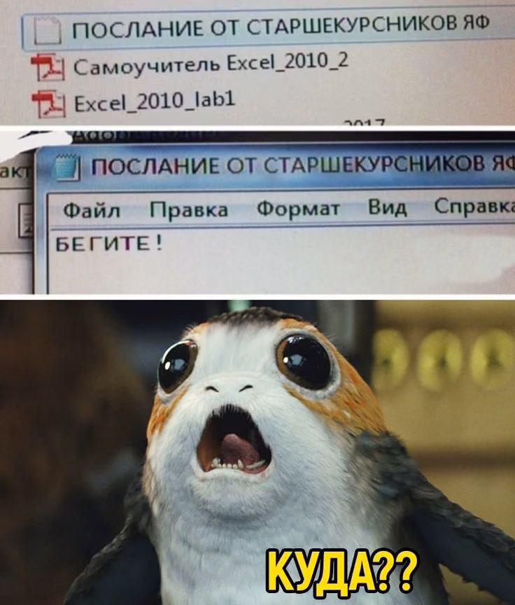 d223da9411282b8f6cdbcd18dbfd4ae2.avif