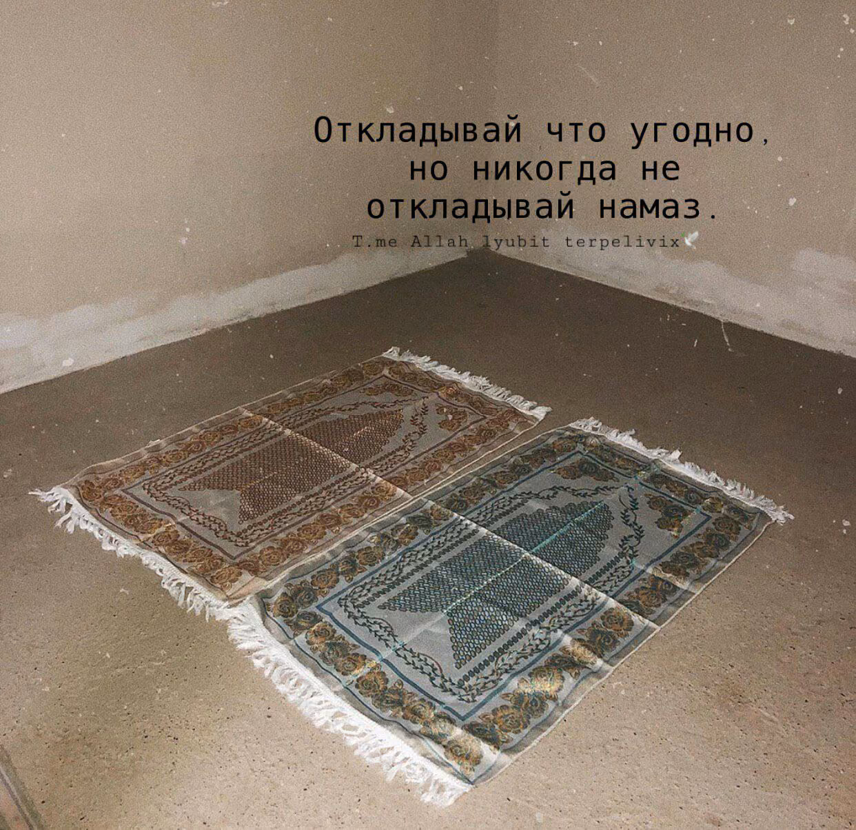 d2270dfb8d09540bfc925c117255edbd.jpg