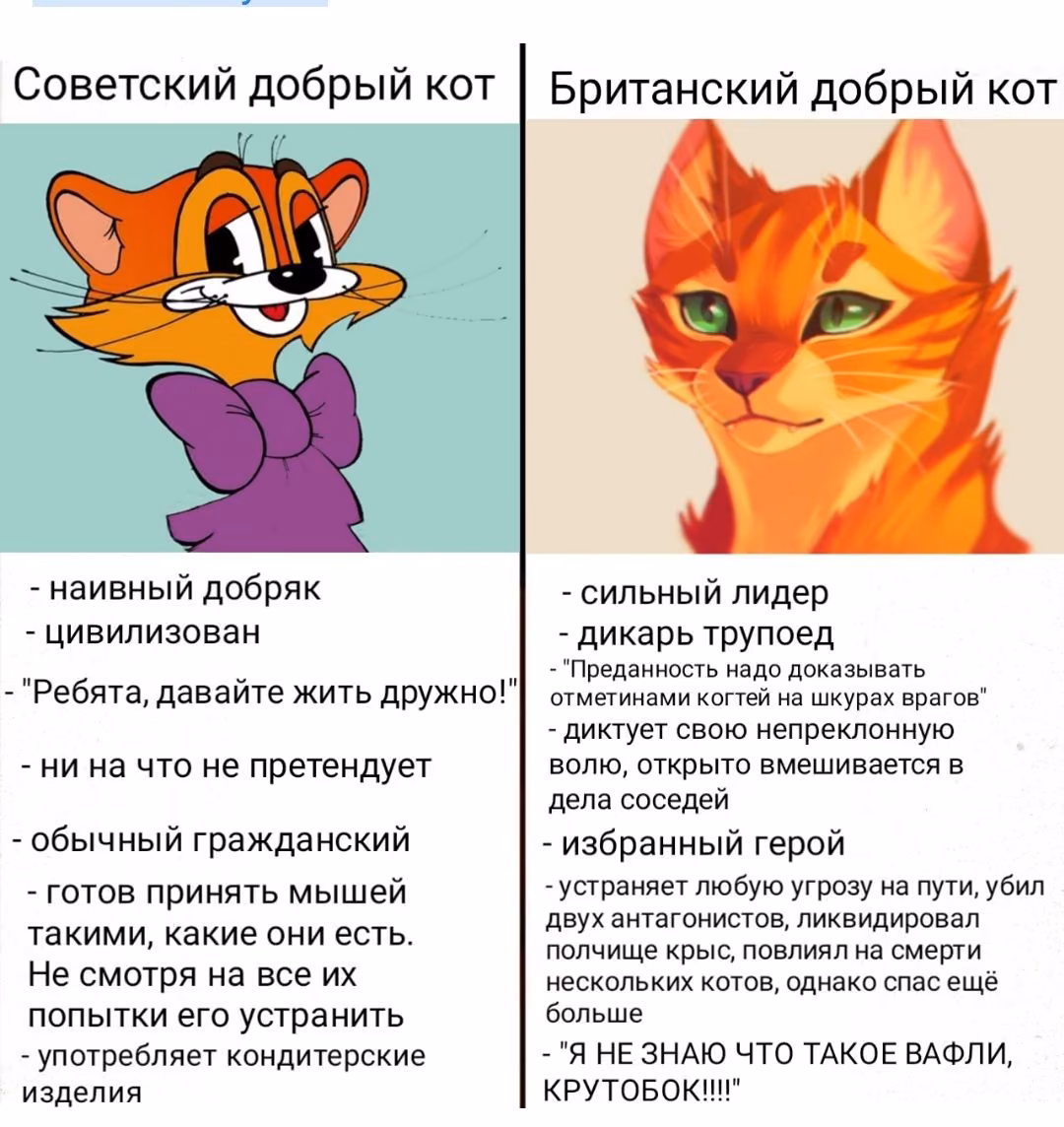 d232795f742abc1bf17305c6991346c0.avif