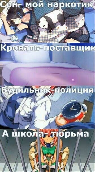 d237798f808c2addd476c83c4c4bd5a8.jpg