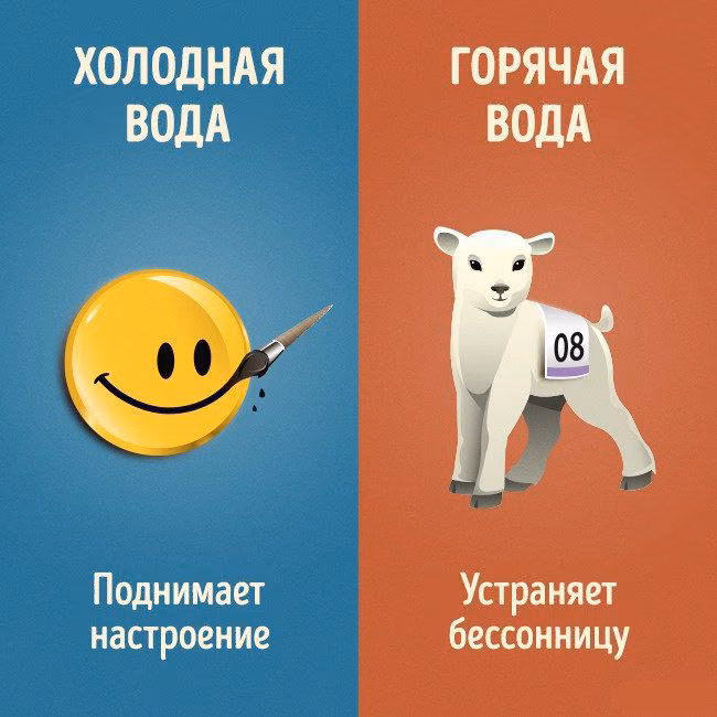 d240159633f763af8581758384b7c5da.avif