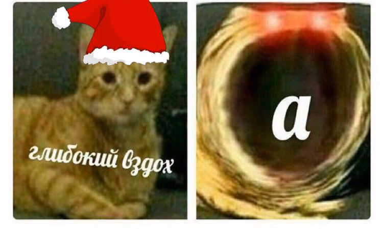 d25e06af9e030de7cc7262c48da43ad8.avif
