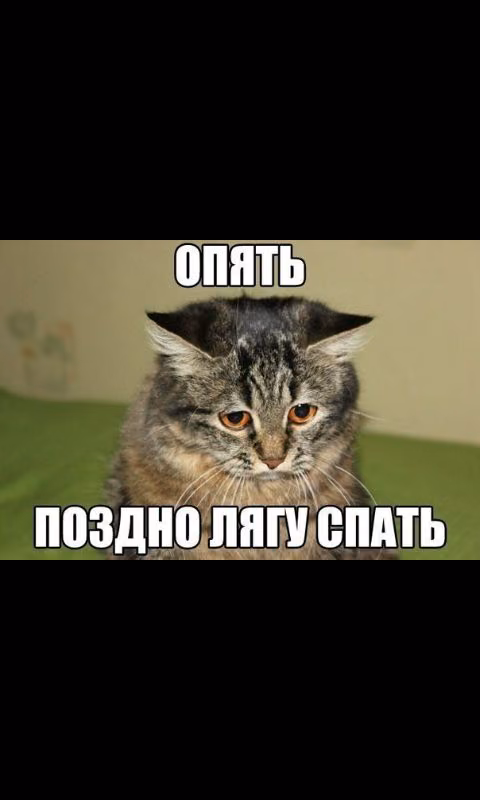 d25f02e579c5e87a7d84f211fab83b7c.avif