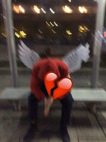 d2645dd0804dfccde2615efce3c02414.avif