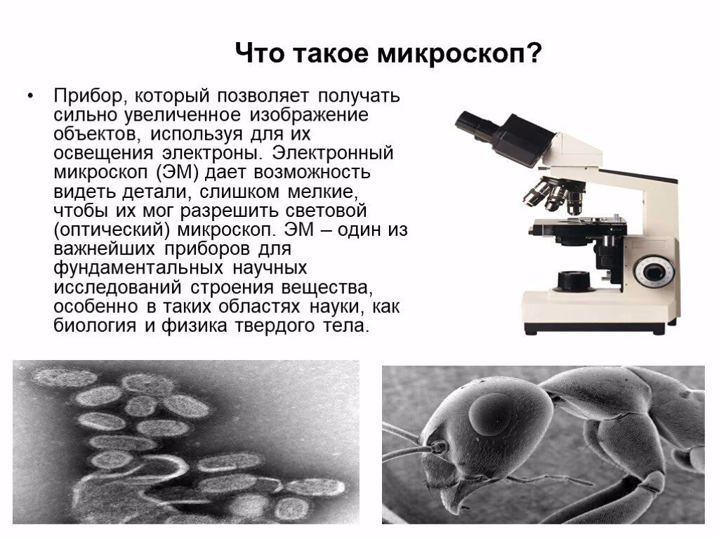 d2862b2314b017cd4afaf3f5250bcd10.avif