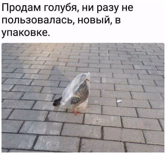 d2925008f7f6116f818edc2d74184561.avif