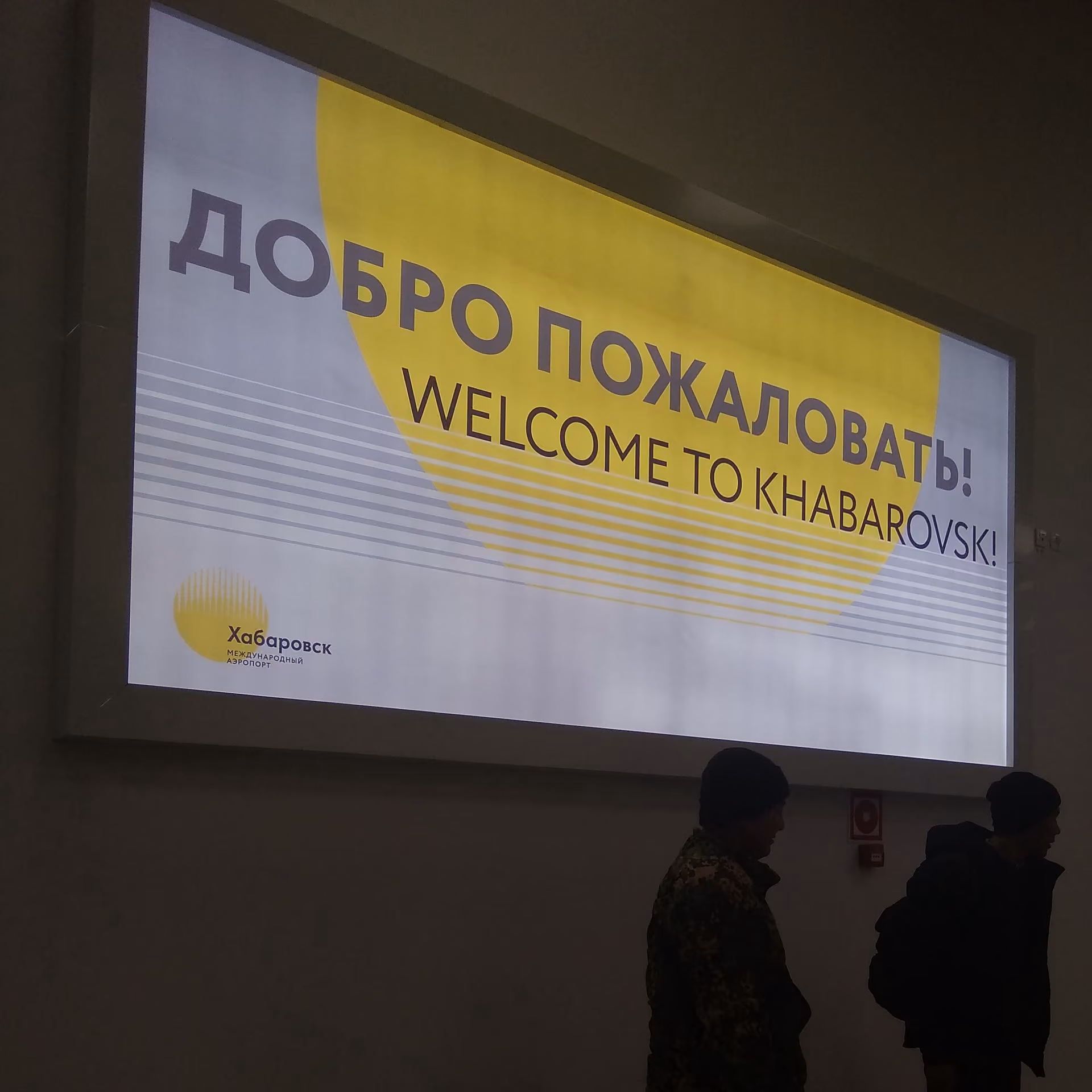 d2aa480445d40a63d059ed247bb2c94e.jpg