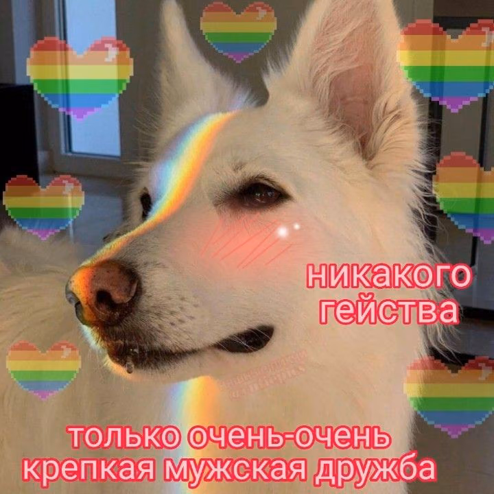 d2b5d4e3834027346147a9b87abddff4.avif