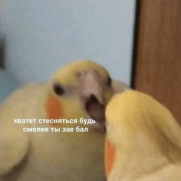 d2c1e17d39956ccc1d230cc3e700e16f.jpg