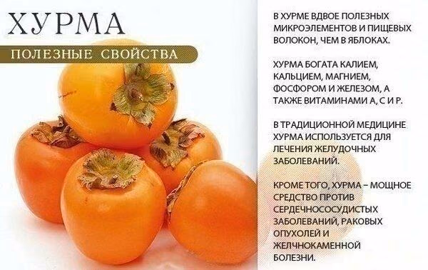d2d66735dcd39c77ad277e8fa38c5ef6.avif