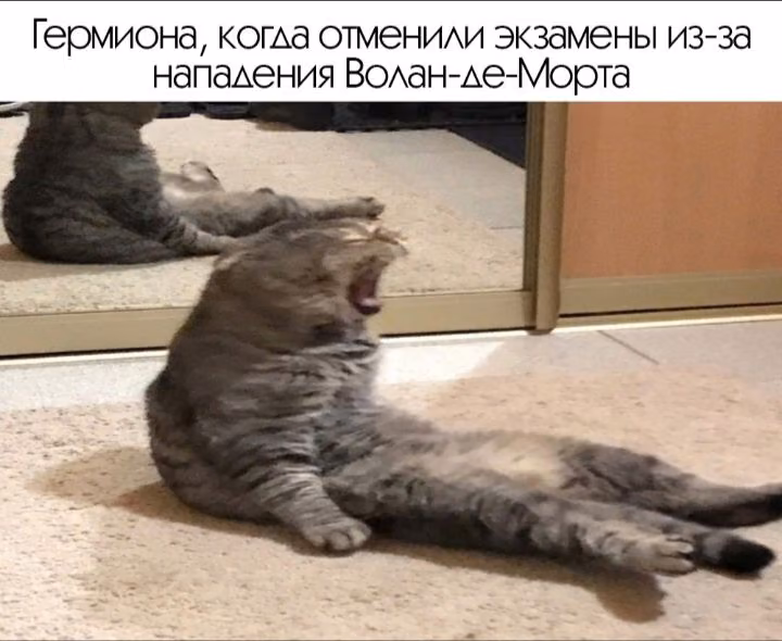 d2d819a65aa11c8a6c621d56ee9685f0.avif