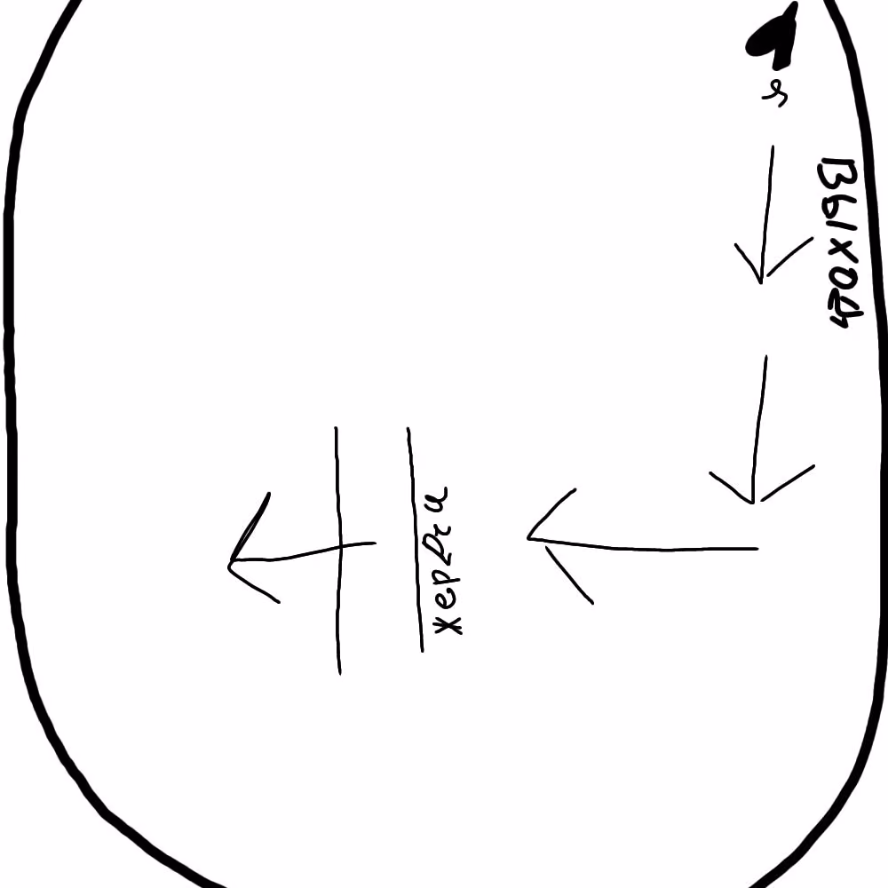 d2dbe1af440347823ac87c0436420c61.avif
