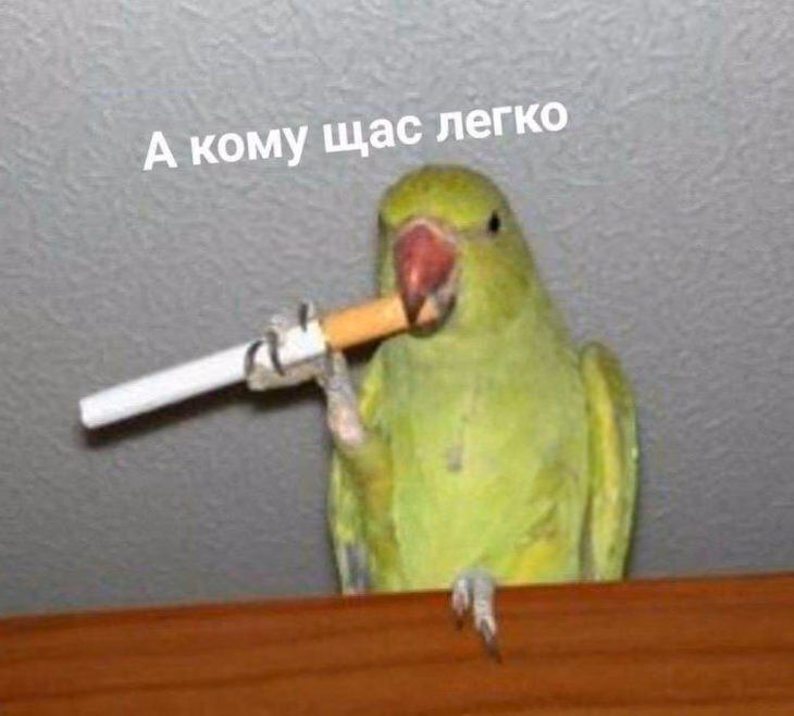 d2dbedc56fd9c39ebe4fa0e06971d2fd.avif