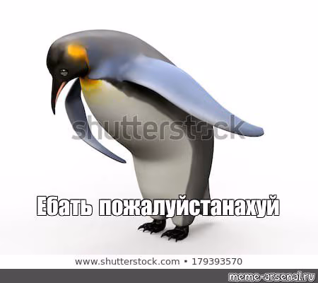 d2dc77b23ab846f6b806050ce4457a5e.avif