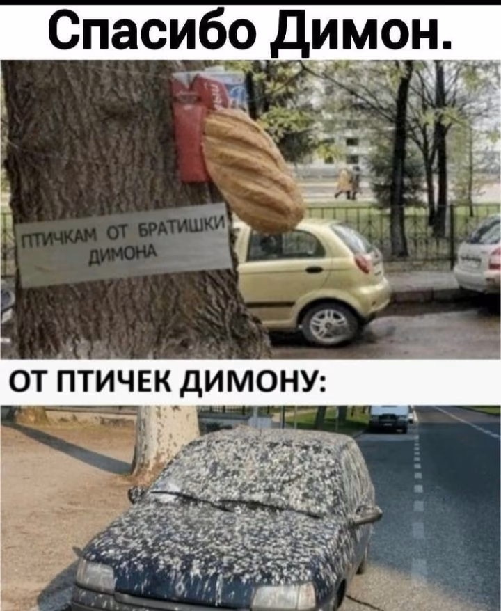 d2eddd77be659ca1c22a4f93bef15d21.avif