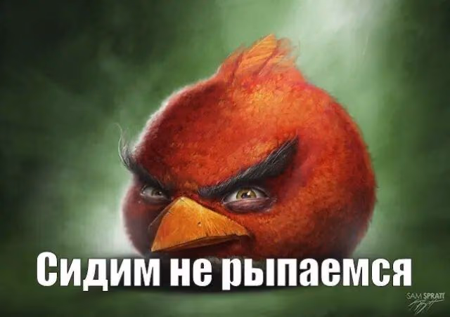 d2ee03ab8b616b111d98ce4d4e31d924.avif