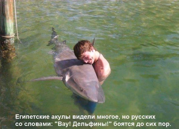 d2ef8d5071686e93385e9964ac73bd23.avif