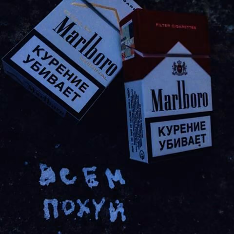 d2f18a7517b29e7aeb30bc68d0ed0035.avif