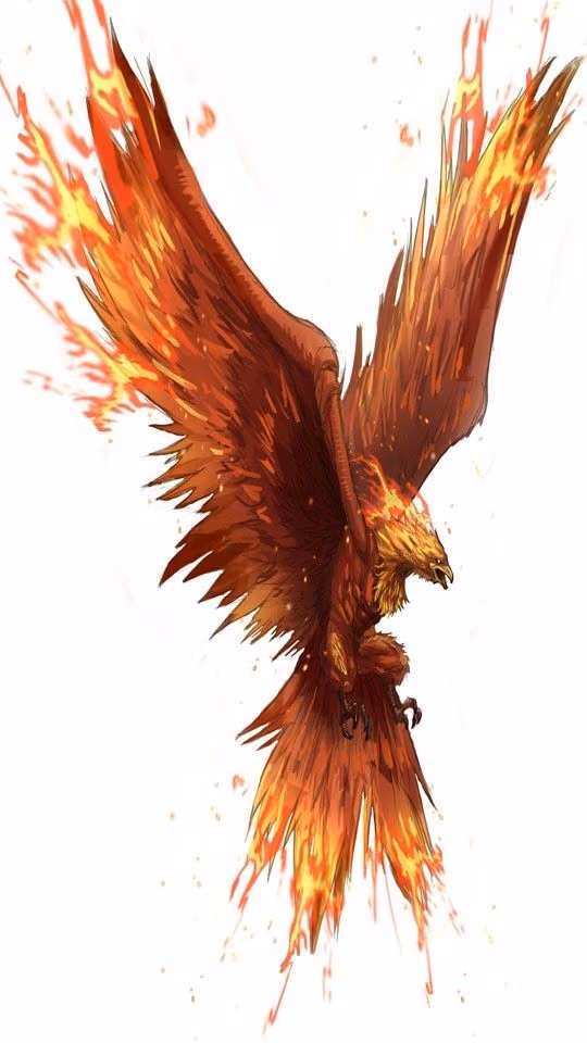 d2f86a80d301ed8d784b8b3fb4792c08.avif