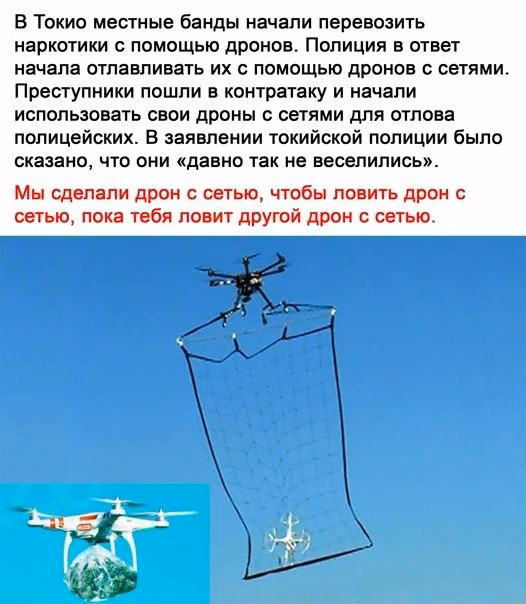 d334099278462897219b02db0aabe212.avif