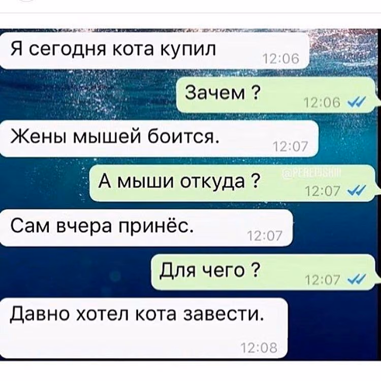 d35fd2da17ca65a28bc02baba7e09db3.avif