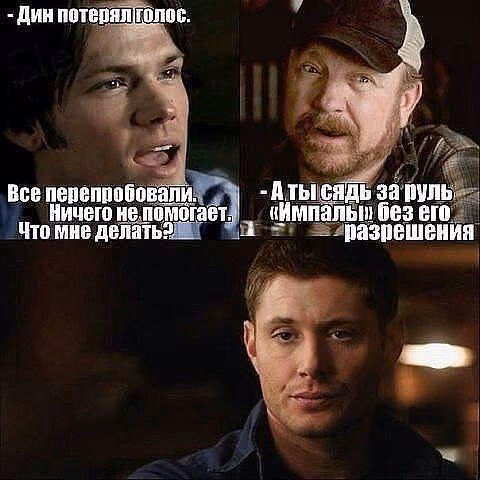 d36489ef41b8270db426599c1f4a0d07.avif