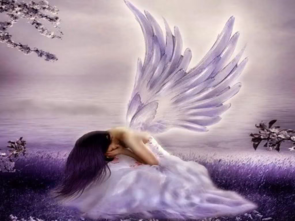 d3672c4ee852ad10f17b24b79451e078.avif