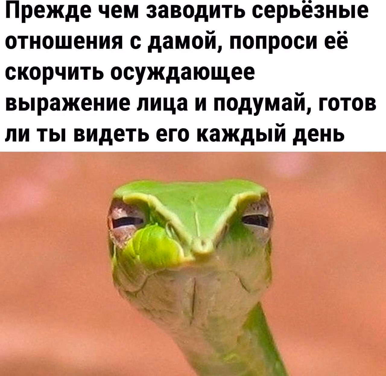 d37cb39d21b61c4eeebd4f9c2f519086.avif