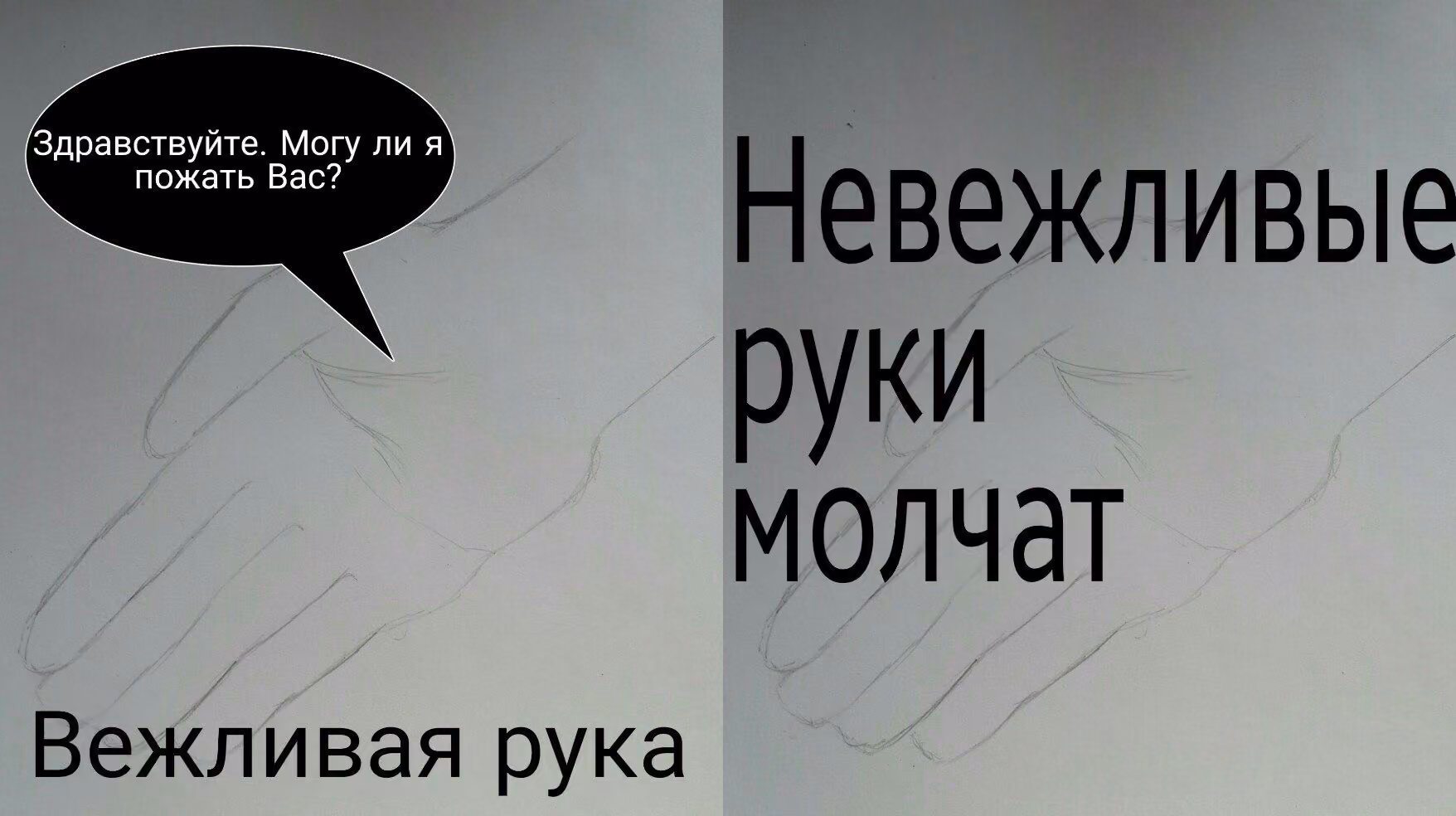 d37f2828a94d527e248b754a669529ff.avif