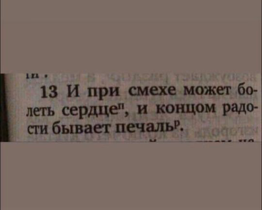 d388e34692296f15283eed3e122fbcb0.avif