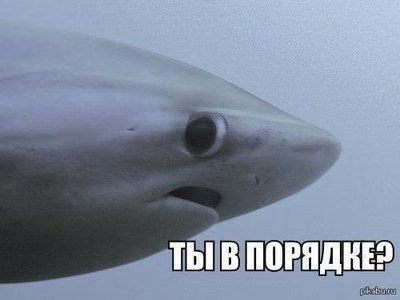 d3b892d1f376d86e23616b62a2ed4630.jpg