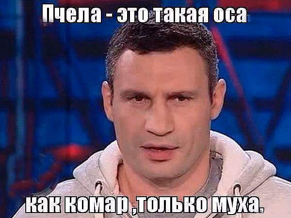 d3c1874ad9b4a8f418a0b008cc1fa826.avif