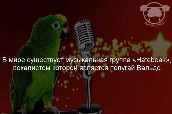 d3c491daeaa1c970a5cfc7a5fba48a52.jpg