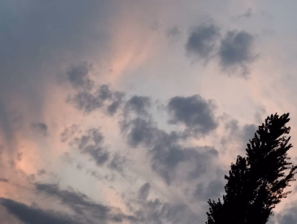 d3d865b8fe65a6c32c92a4884f47fbf8.jpg